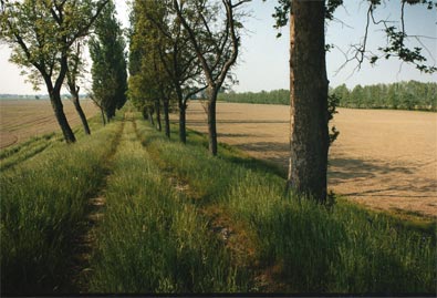 Path to the Po River